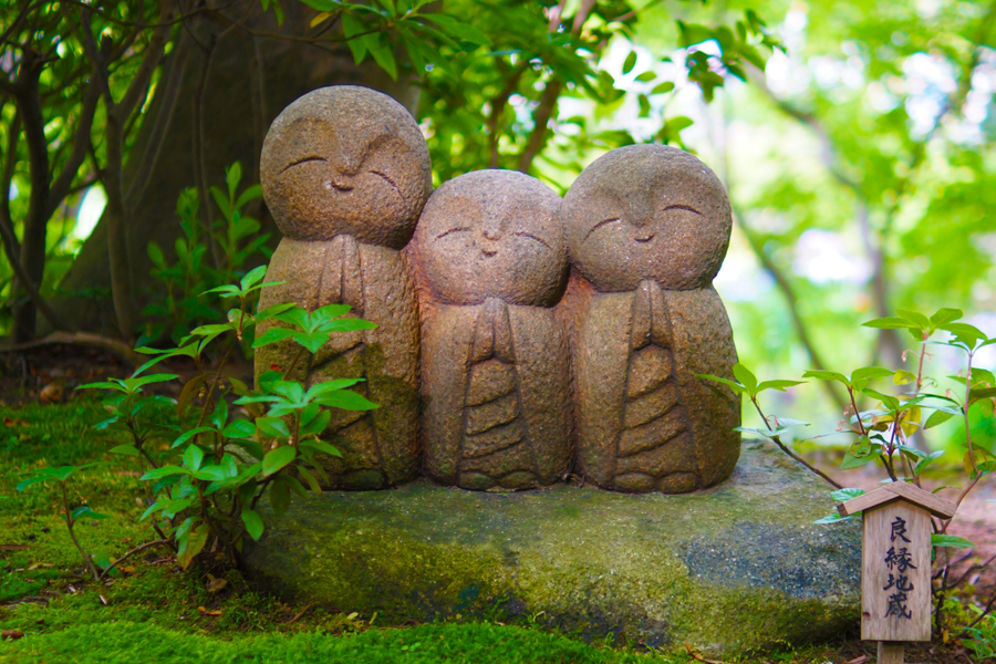 お寺や宗派